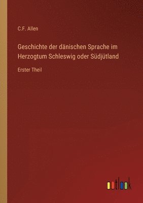 bokomslag Geschichte der dänischen Sprache im Herzogtum Schleswig oder Südjütland