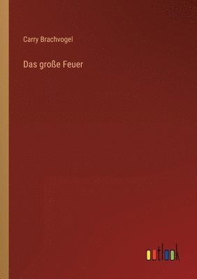 bokomslag Das grosse Feuer