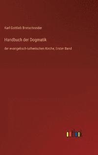 bokomslag Handbuch der Dogmatik