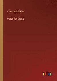 bokomslag Peter der Grosse
