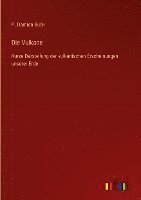bokomslag Vulkane