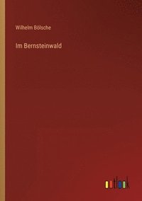 bokomslag Im Bernsteinwald
