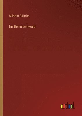 Im Bernsteinwald 1