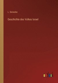 bokomslag Geschichte des Volkes Israel