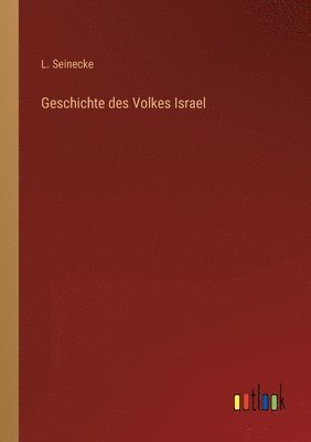 bokomslag Geschichte des Volkes Israel