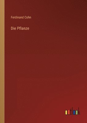bokomslag Pflanze
