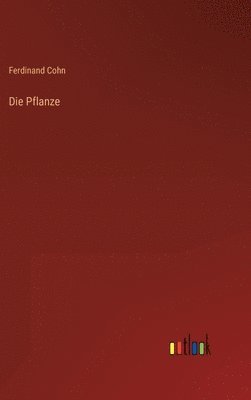 bokomslag Pflanze