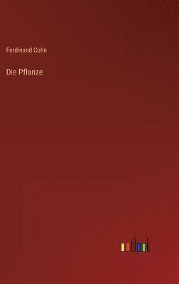 Die Pflanze 1