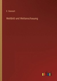 bokomslag Weltbild und Weltanschauung