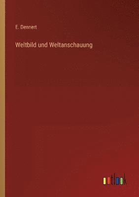 bokomslag Weltbild und Weltanschauung