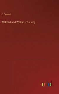 bokomslag Weltbild und Weltanschauung