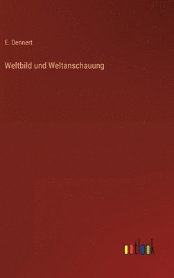 bokomslag Weltbild und Weltanschauung