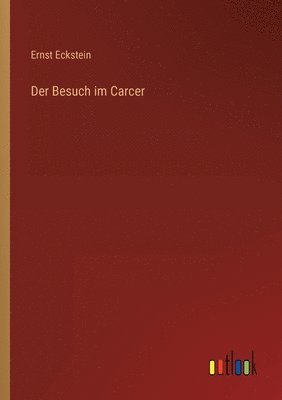 bokomslag Der Besuch im Carcer