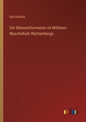 bokomslag Die Steinsalzformation im Mittleren Muschelkalk Wurttembergs