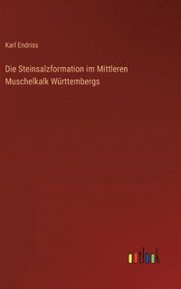 bokomslag Die Steinsalzformation im Mittleren Muschelkalk Wrttembergs