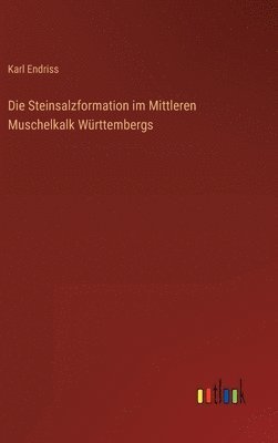 bokomslag Die Steinsalzformation im Mittleren Muschelkalk Wrttembergs