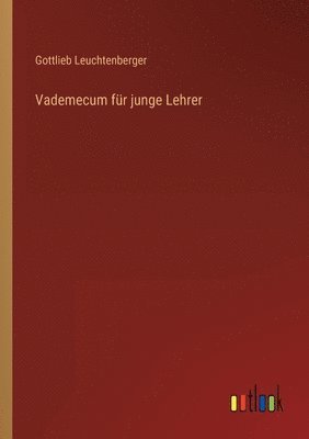 bokomslag Vademecum für junge Lehrer