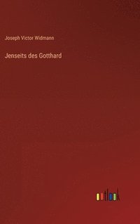 bokomslag Jenseits des Gotthard