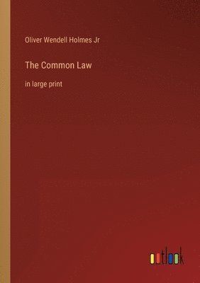 bokomslag The Common Law