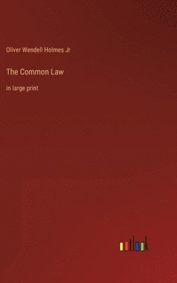 bokomslag The Common Law