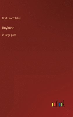 bokomslag Boyhood