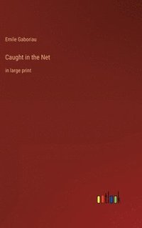 bokomslag Caught in the Net