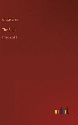 bokomslag Birds