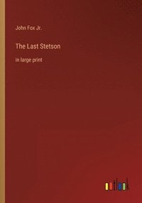 bokomslag The Last Stetson