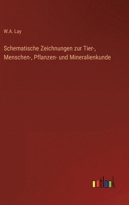 bokomslag Schematische Zeichnungen zur Tier-, Menschen-, Pflanzen- und Mineralienkunde