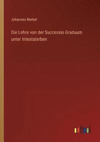 bokomslag Die Lehre von der Successio Graduum unter Intestaterben