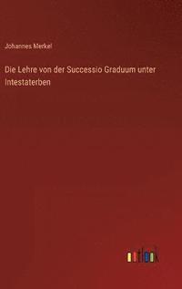 bokomslag Die Lehre von der Successio Graduum unter Intestaterben