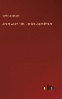 bokomslag Johann Adam Horn, Goethes Jugendfreund