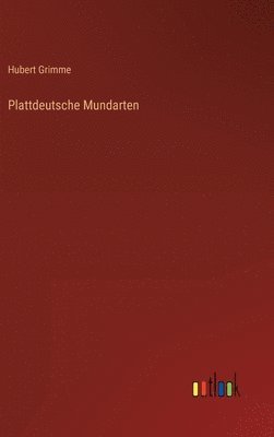 bokomslag Plattdeutsche Mundarten