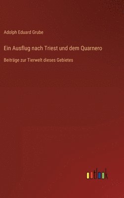 bokomslag Ein Ausflug nach Triest und dem Quarnero