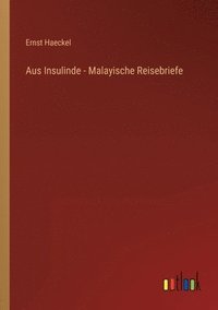 bokomslag Aus Insulinde - Malayische Reisebriefe