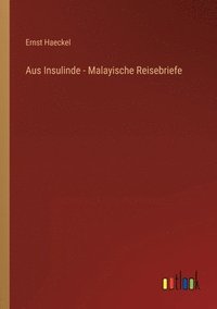 bokomslag Aus Insulinde - Malayische Reisebriefe