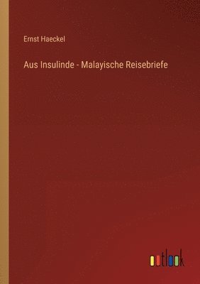 bokomslag Aus Insulinde - Malayische Reisebriefe