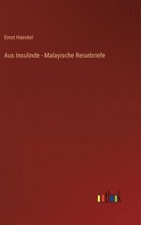 bokomslag Aus Insulinde - Malayische Reisebriefe