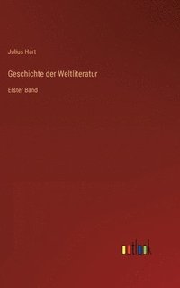 bokomslag Geschichte der Weltliteratur