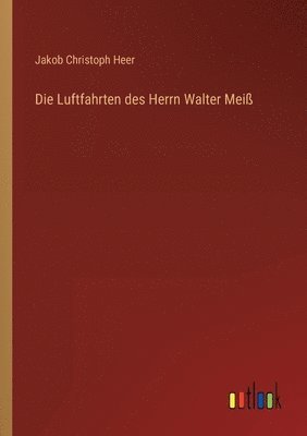 bokomslag Die Luftfahrten des Herrn Walter Mei