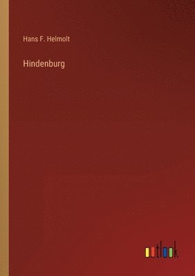 bokomslag Hindenburg
