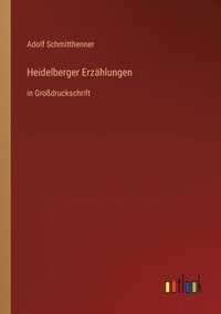 bokomslag Heidelberger Erzählungen