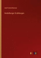 bokomslag Heidelberger Erzählungen