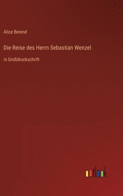 bokomslag Die Reise des Herrn Sebastian Wenzel