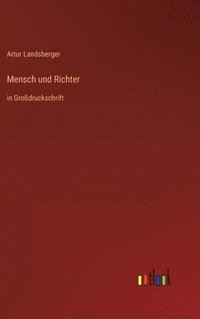 bokomslag Mensch und Richter