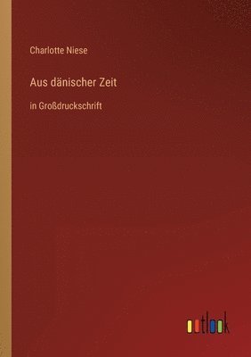 bokomslag Aus dänischer Zeit