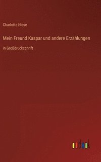 bokomslag Mein Freund Kaspar und andere Erzhlungen