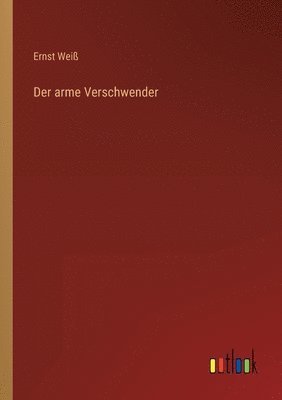 bokomslag arme Verschwender