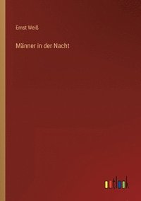 bokomslag Männer in der Nacht