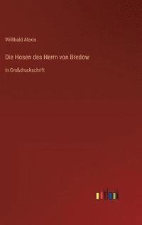 bokomslag Die Hosen des Herrn von Bredow